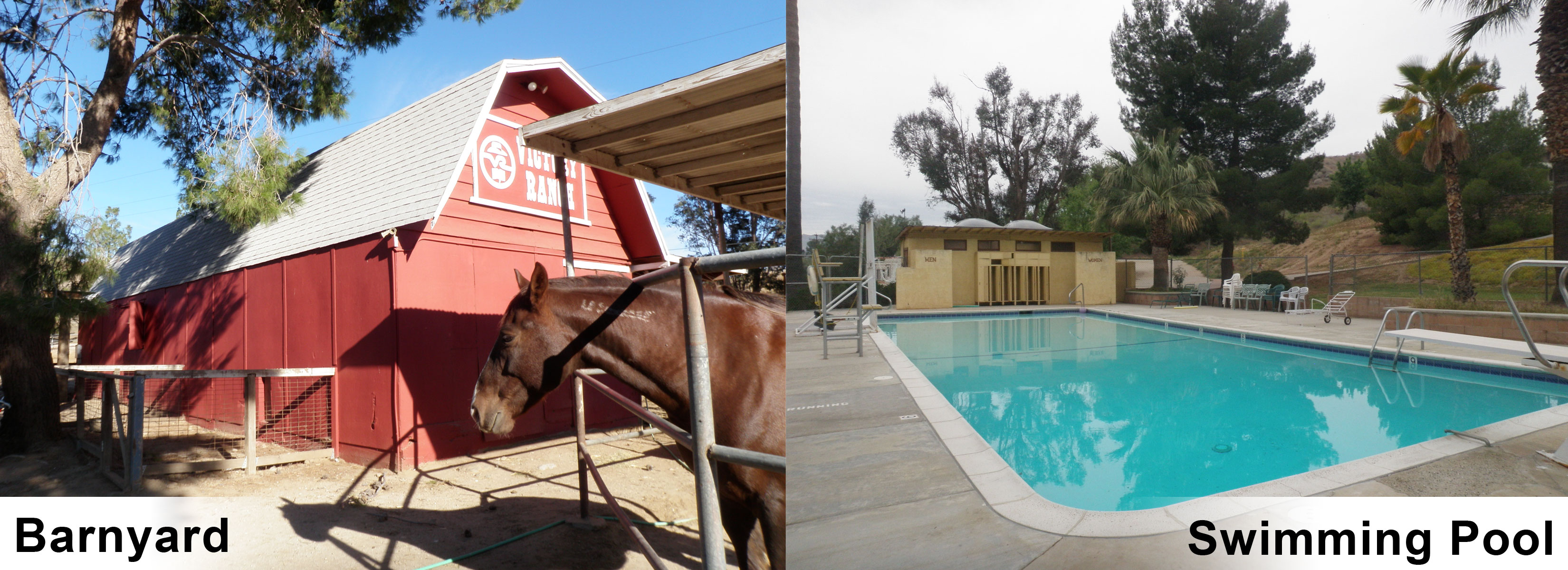 Barn&Pool web-pics